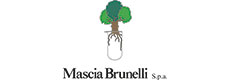 MASCIA BRUNELLI > Exhibitor at Arab Health 2025